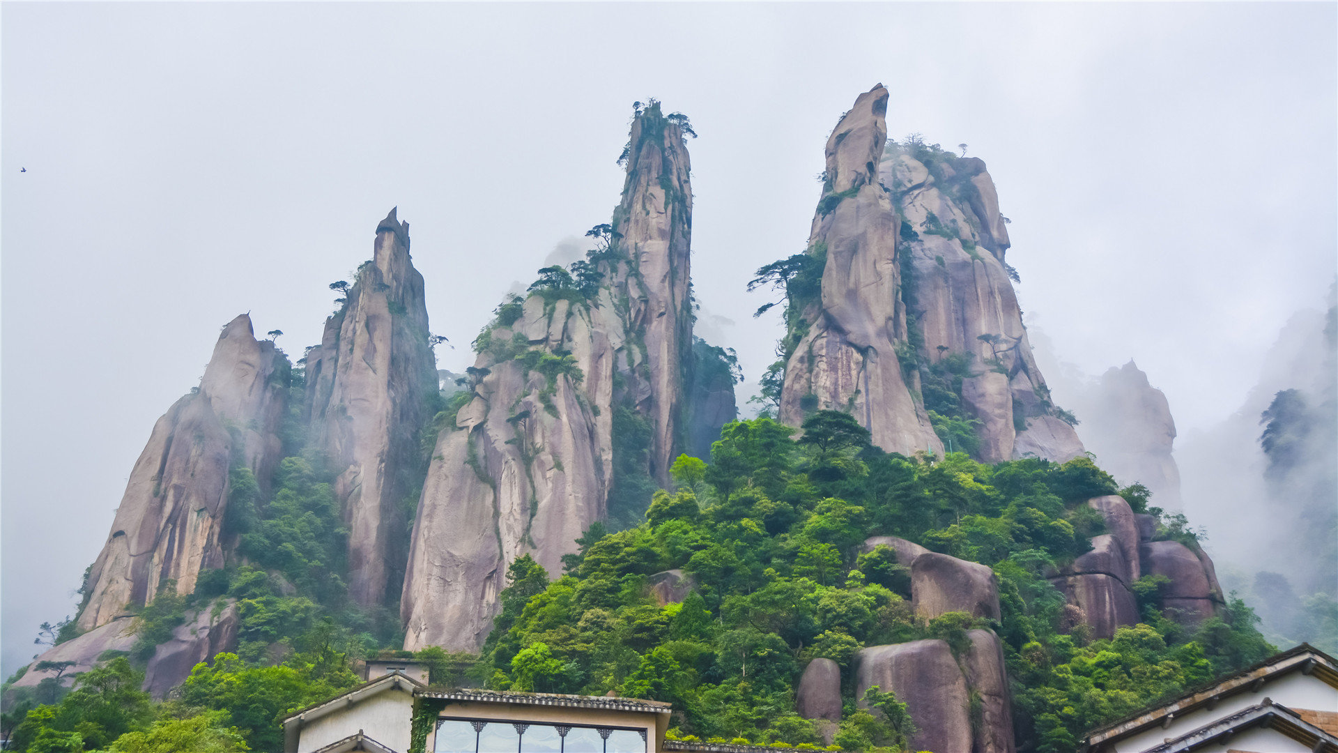 抖音粉丝业务24小时免费-0.1元100个赞秒到平台-DY在线业务自助平台业务下单真人-DY业务平台24小时点赞自助服务